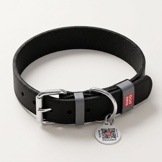 WAUDOG™ Premium Leather Smart Collar — Curated by Kinning